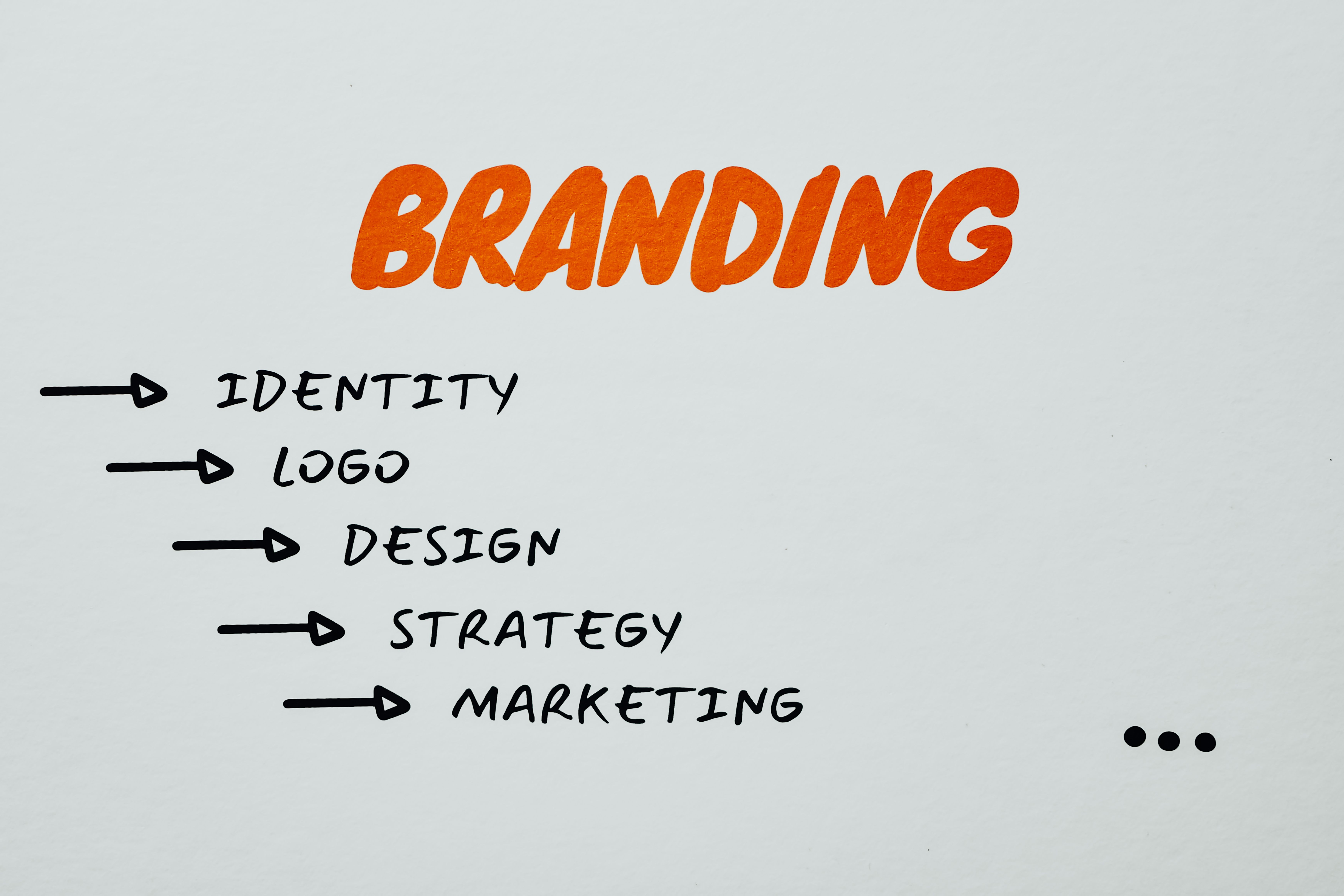 Best Website Designing Company - Zordo Blog