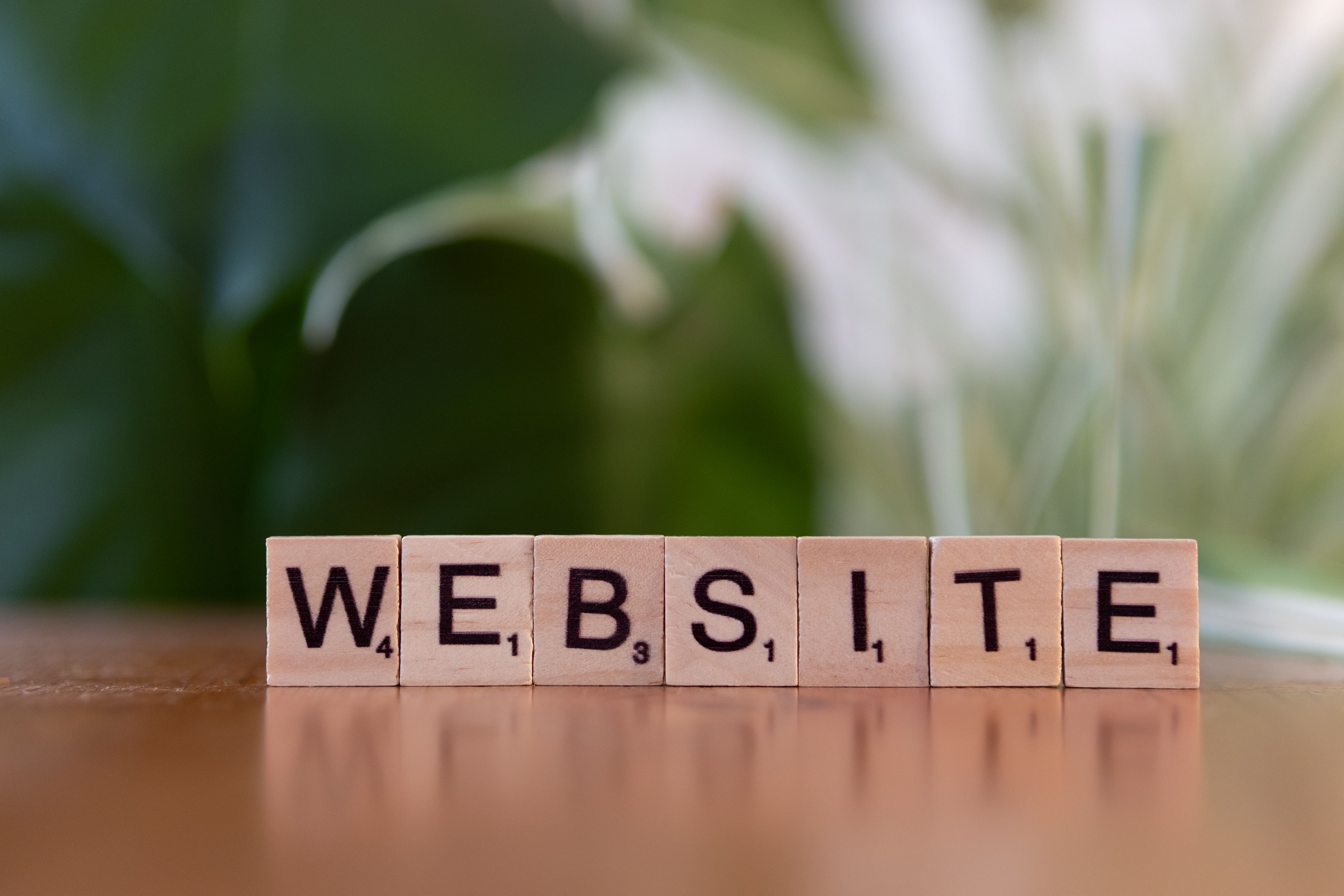 Best Website Designing Company - Zordo Blog